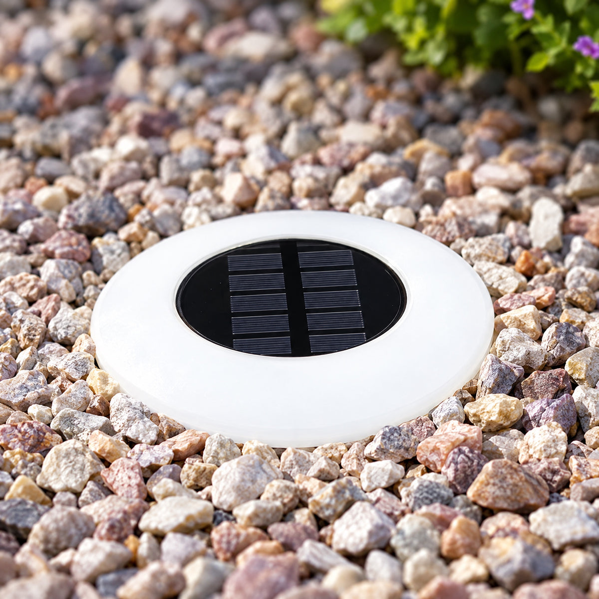 Solar Path Lights close-up detail