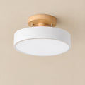 Hallway Ceiling Light – White