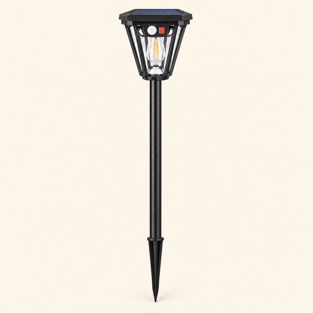 Outdoor Solar Security Light, wall or stake mount
