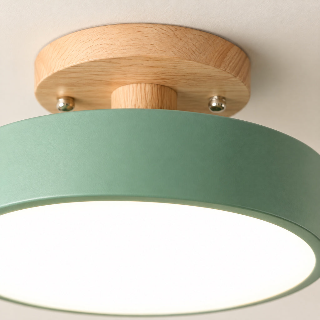 Hallway Ceiling Light close-up detail